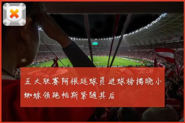 五大联赛阿根廷球员进球榜揭晓小蜘蛛领跑帕斯紧随其后