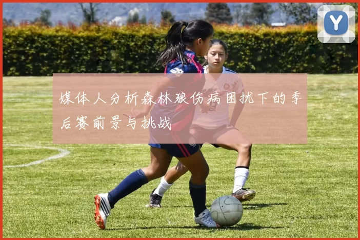 媒体人分析森林狼伤病困扰下的季后赛前景与挑战