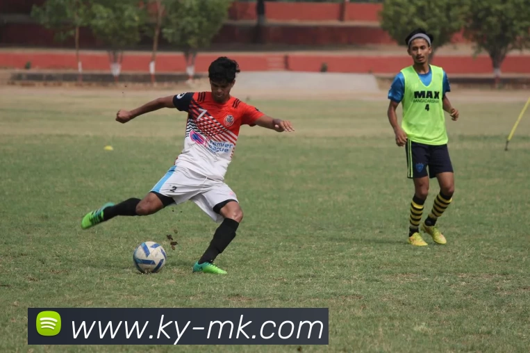 MK体育APP 封面图